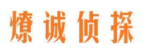 禹城市场调查